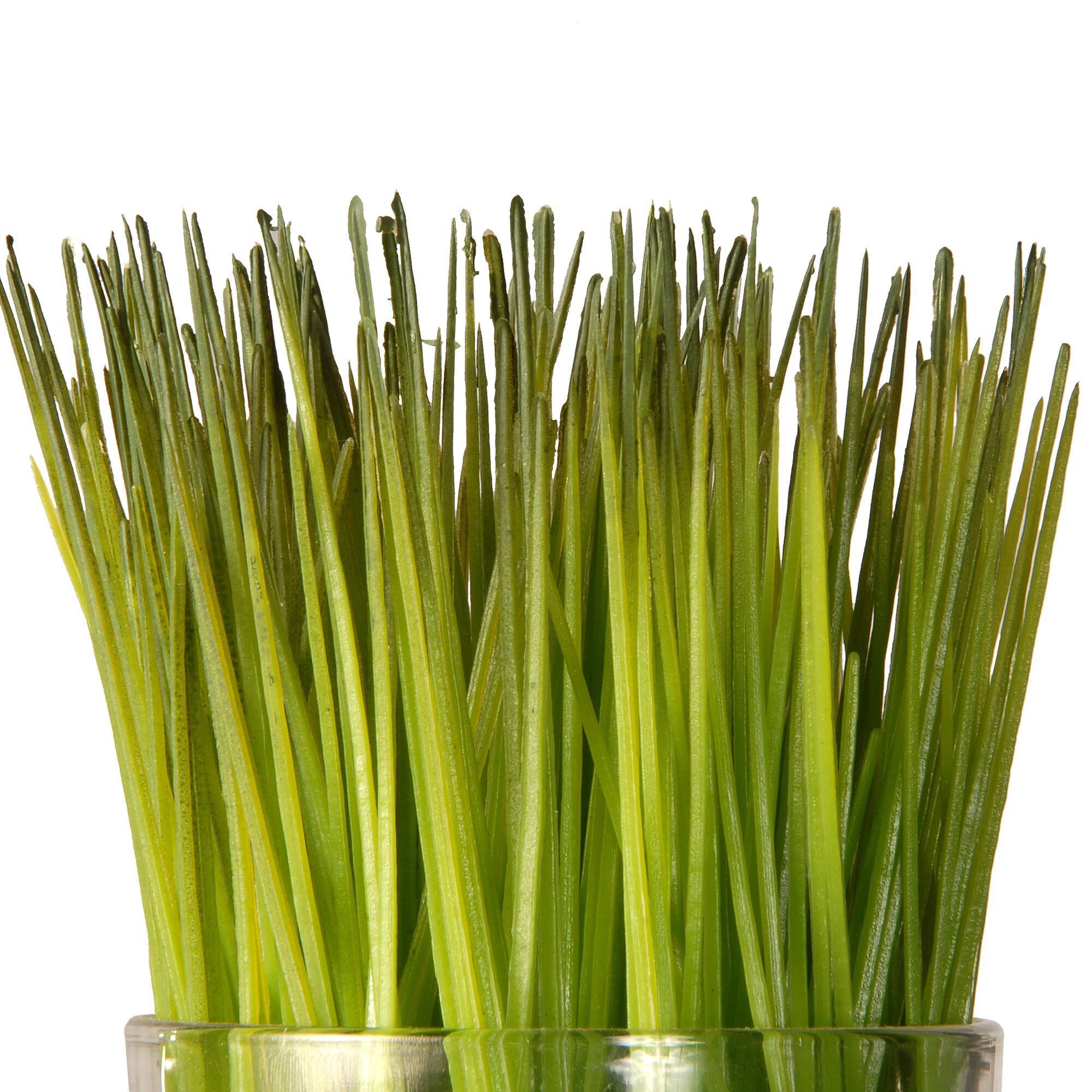3-Piece Round Sprout-Filled Glass Assortment